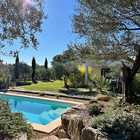 La Villa Aux Oliviers Flayosc Екстериор снимка