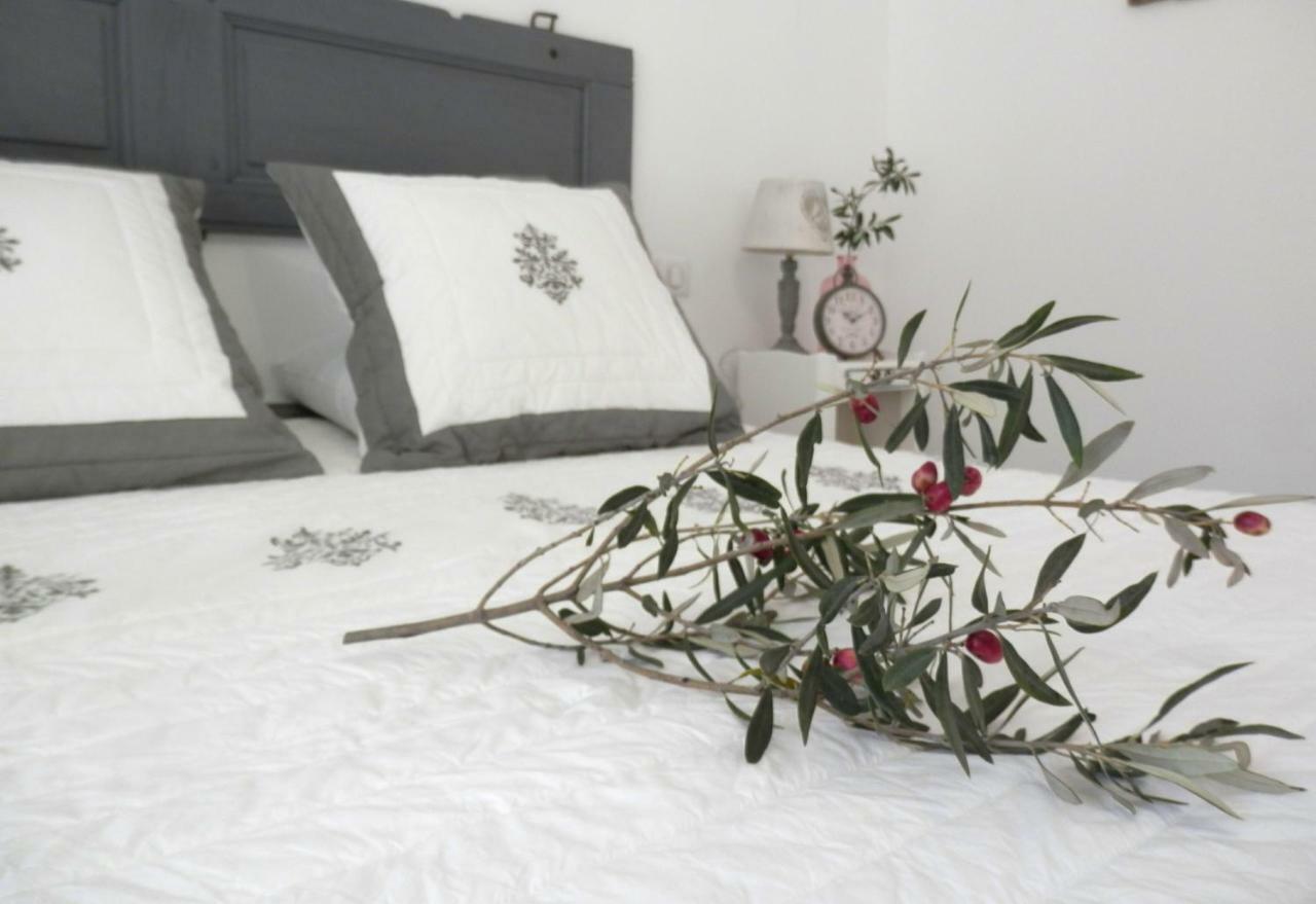 La Villa Aux Oliviers Flayosc Екстериор снимка
